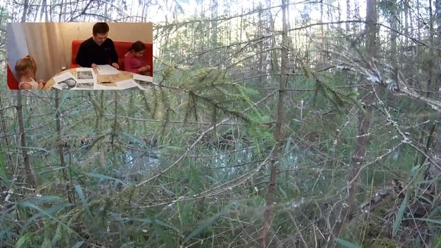 Моховики - интересное и познавательное смотреть онлайн