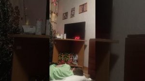 следим за максом