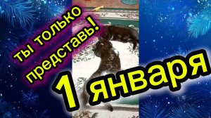 1 января! Ты только представь!