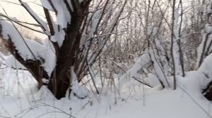 Предновогодний вечер