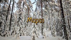 Мороз трескучий