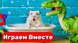 ХОМЯК ВЫБИРАЕТСЯ ИЗ СЕКРЕТНОЙ ХОМЯЧЕЙ ТЮРЬМЫ  ! Играем ВМЕСТЕ ! Помогаем выбраться из лабиринта №4