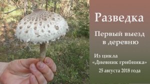 Разведка. Первый выезд в деревню. Дневник 25 августа 2018 года.