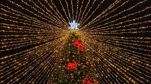 Ялта. Новогодняя ночь 2026 #ялта #ялта2026 #новыйгод