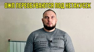 ОЖП переобуваются под нетакусек