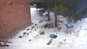 с наступающим новым годом