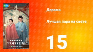 Лучшая пара на свете 15 серия