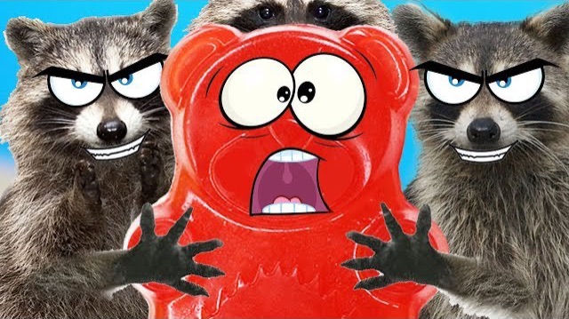 На ВАЛЕРКУ напали еноты смотреть онлайн