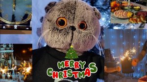 БАСИКИ ПРАЗДНУЮТ НОВЫЙ ГОД 🎄
#БАСИКИ БАСЯТА КОТ БАСИК ЛИЛИ#