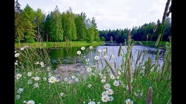 Пение птиц. Релакс . смотреть онлайн