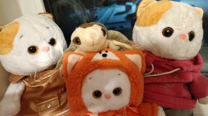 ЛИЛИ ЗНАКОМЯТСЯ И БЕЛЛА!!!