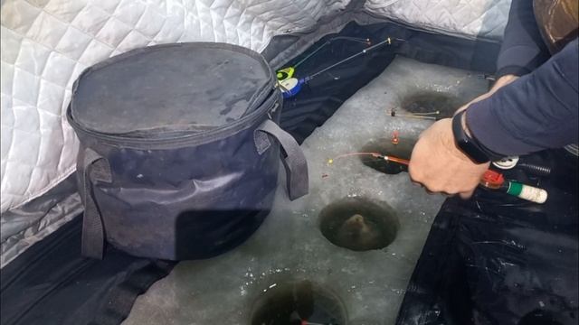 рыбалка нв Салтаиме смотреть онлайн