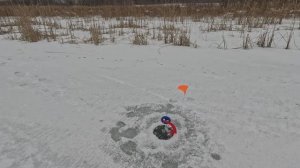 Зимняя рыбалка. Самара. затон Владеное. 20.12.2025 (где рыбачить в Самаре и Самарской области)