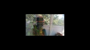 Эдит про Тимура.