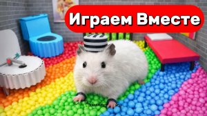 ХОМЯК ВЫБИРАЕТСЯ ИЗ СЕКРЕТНОЙ ХОМЯЧЕЙ ТЮРЬМЫ  ! Играем ВМЕСТЕ ! Помогаем выбраться из лабиринта №2