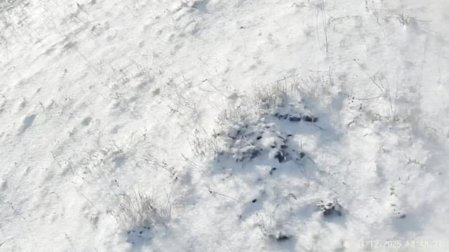 Охота на зайца 2025 смотреть онлайн