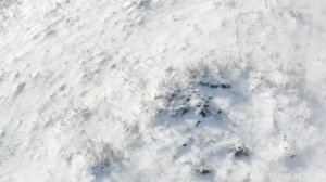 Охота на зайца 2025