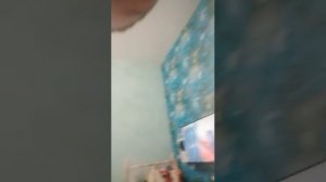 как я иду в школу в разные дни недели