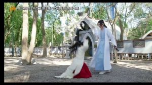 Дорама "Новоландия: Замок в небесах"