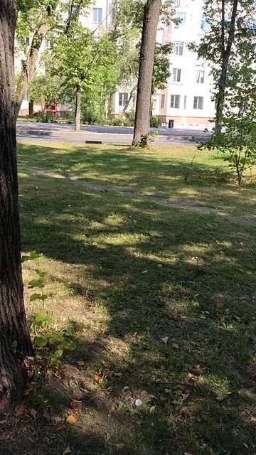 №555	Комсомольский проспект. 15 августа 2025 г., 15:29:38 VID_20250815_152924563