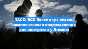 ТАСС: ВСУ более двух недель комплектовали подразделения для контратак у Лимана