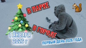 Первый день Нового года 1 января 2026 г