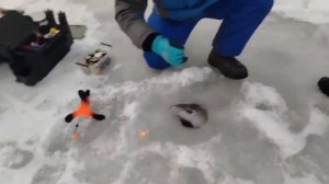 01.01.26 г. С новым годом!