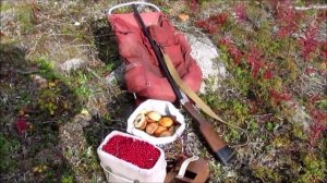 Чумовые рассказы. Ягодная горка и рюкзак. Север.