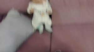 НОВОГОДНИЙ ВЛОГ С АРСЕНИЕМ💋🎆🎄