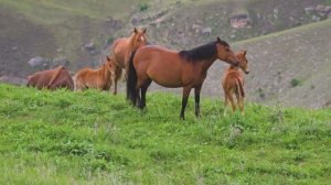 МЯГКИЙ И ГЛУБОКИЙ СОН, ПОЛНЫЙ РЕЛАКСАЦИИ И ПОКОЯ ДЛЯ НЕРВНОЙ СИСТЕМЫ