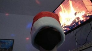 мои поздравления