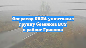Оператор БПЛА уничтожил группу боевиков ВСУ в районе Гришина