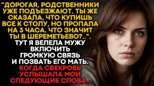 Дорогая, родственники уже подъезжают. Ты же сказала, что купишь все к столу, но пропала на 3 часа.