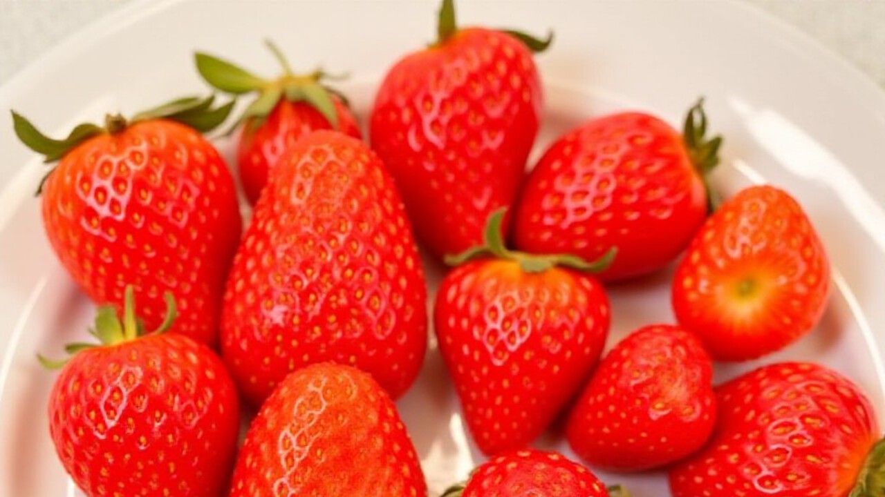 Клубника. Сорта засорители.