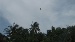 Выбирая Шри-Ланку как место отдыха... подумайте