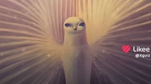 С автором так было._.