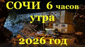 Сочи Новый год утро 1 января 2026г снег, поломанные деревья