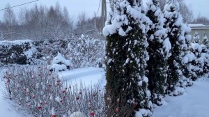 С Новым Годом! Гирлянды развесили. Снег расчистили. А кто-то все пометил