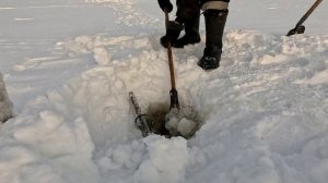 Проверка удочек.29 день