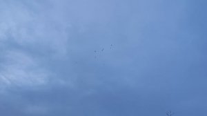 31.12.2025г Всех с Наступающим Новым годом!!!