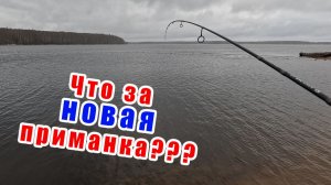КЛЁВ КАК ИЗ ПУЛЕМЁТА!!! РЫБАЛКА 2026!!!