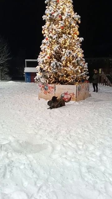 С новым годооом