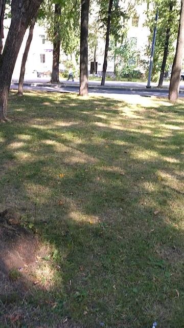 №552	Комсомольский проспект. 15 августа 2025 г., 15:28:13 VID_20250815_152759207