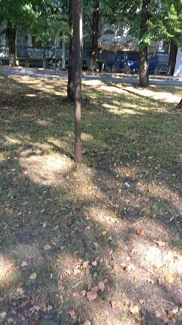 №568	Комсомольский проспект. 15 августа 2025 г., 15:38:03 VID_20250815_153748195