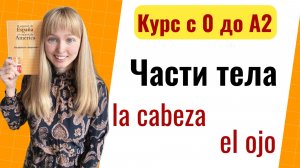 Части Тела на Испанском. Курс с 0 до А2
