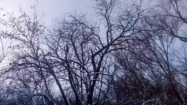 Ченнелинг Что меня ждёт в 2026 году