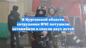 В Курганской области сотрудники МЧС потушили автомобили и спасли двух детей