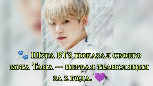 🐾 Шуга BTS показал своего кота Тана — первая трансляция за 2 года 💜