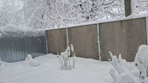 У нас коллапс мы без света, связи и воды