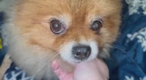 Всем наидобрейшего утречка  и конечно с Новым ГодоМ!